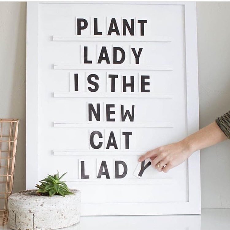WellifyHomes's tweet photo. #plants the #secret to a #healthy #home #oxygen https://t.co/es3aGjcb2E