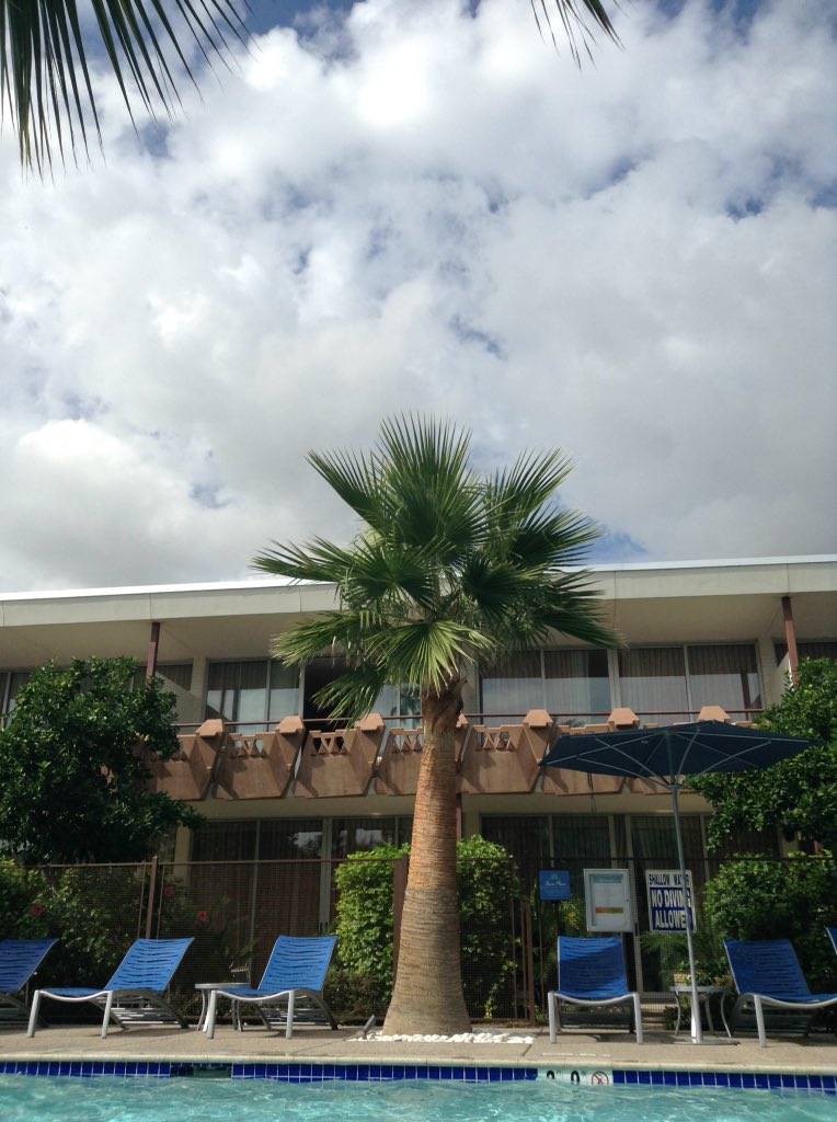 TravelGamer28's tweet photo. Nice view of a pool @HotelValleyHo #awesome #cool #yay #epic https://t.co/8DHW8JoSRP