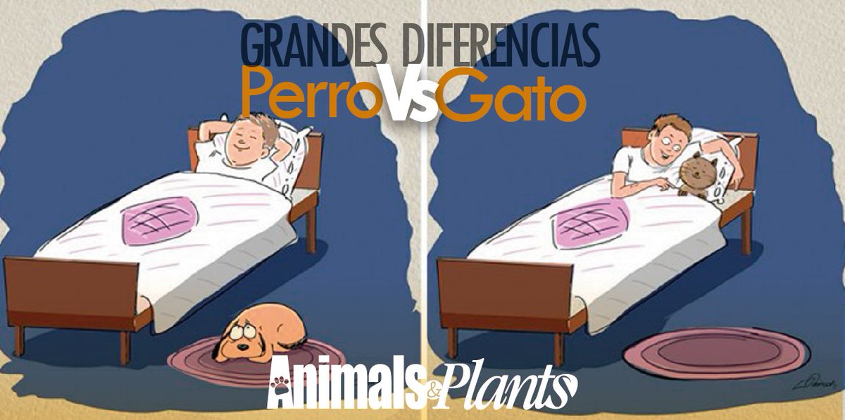 Suele suceder...
#AnimalsAndPlants #AmigosConPatas
