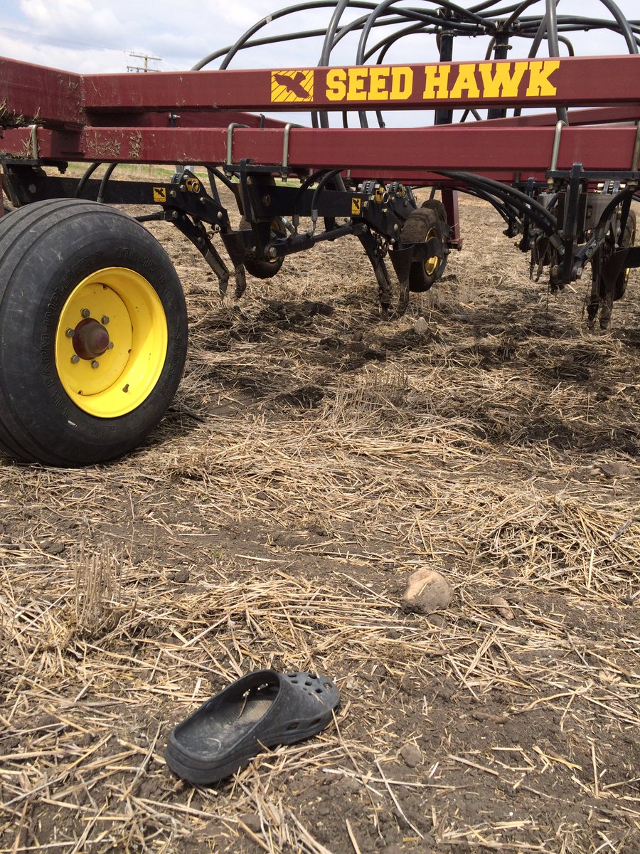 Crikey! I found a bloody croc in the field! I shall b on the lookout for its mate!!!@SeedHawk #hawksighting