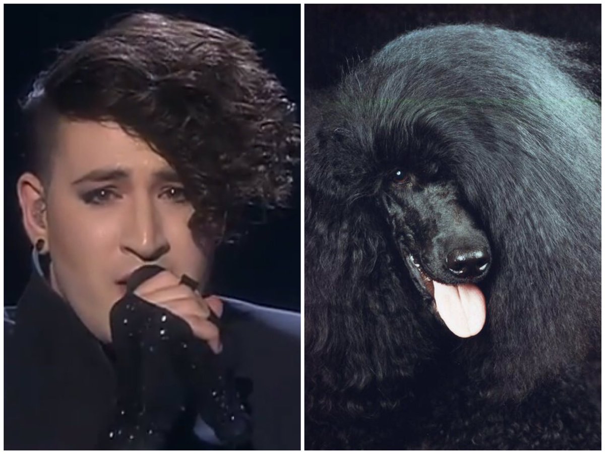 Tsja. #eurovision #esc16 #esf16 #isr
