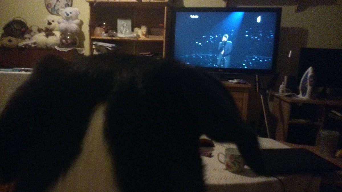 SunsPeka's tweet photo. I'm PEK, bitches! #eurovision #peksindahouse https://t.co/gI6UjZ7Ldu