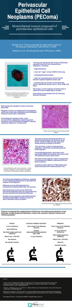 SurgicalPath's tweet image. PEComa - [Pathology Infographic] - #SoftTissuePathology  #meded