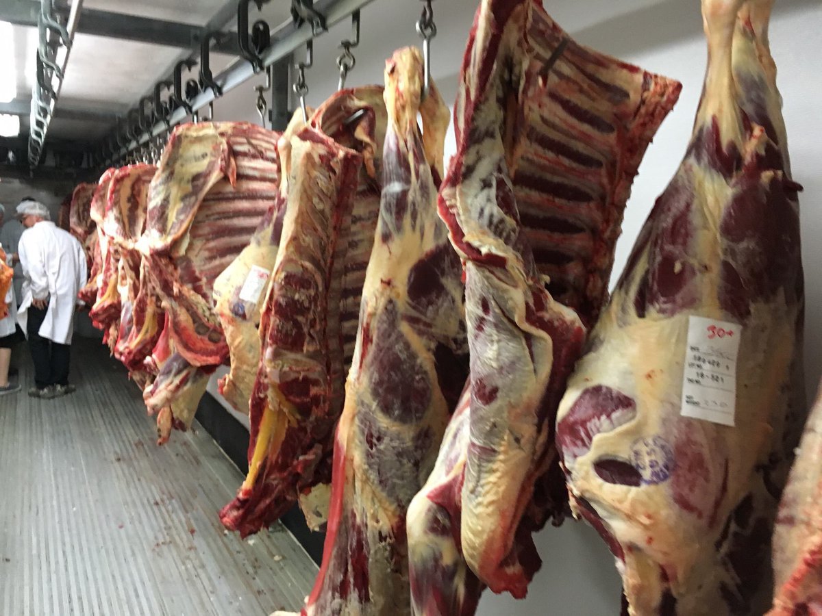heatherlynnen's tweet photo. #cotedeboeuf #culinaryschool #beefbutchery #bow #islandgrown #cow https://t.co/5qXBZBF5Gh