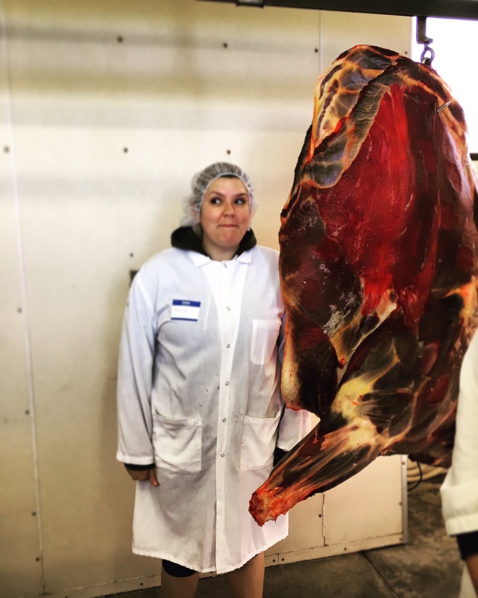 heatherlynnen's tweet photo. #cow #1/4 #butchery #culinaryschool #beef #bow https://t.co/p37CLjthYD