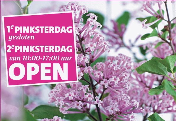 Intratuin Pijnacker tweet media