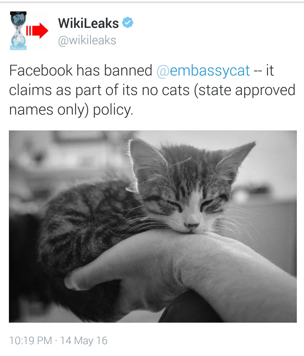 FreeEmbassyCat's tweet photo. Breaking: "Facebook has Banned @EmbassyCat"
#EC4Me #FreeAzrael https://t.co/FG0YxSH51h