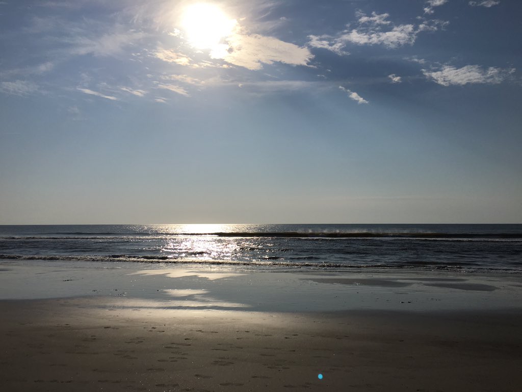 sammyginge91's tweet photo. Love this place #florida https://t.co/sFAVO0MvXn