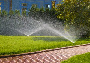 Watering Restrictions Begin In Maple Ridge, Pitt Meadows #MapleRidge #PittMeadows mrtimes.com/community/3794…