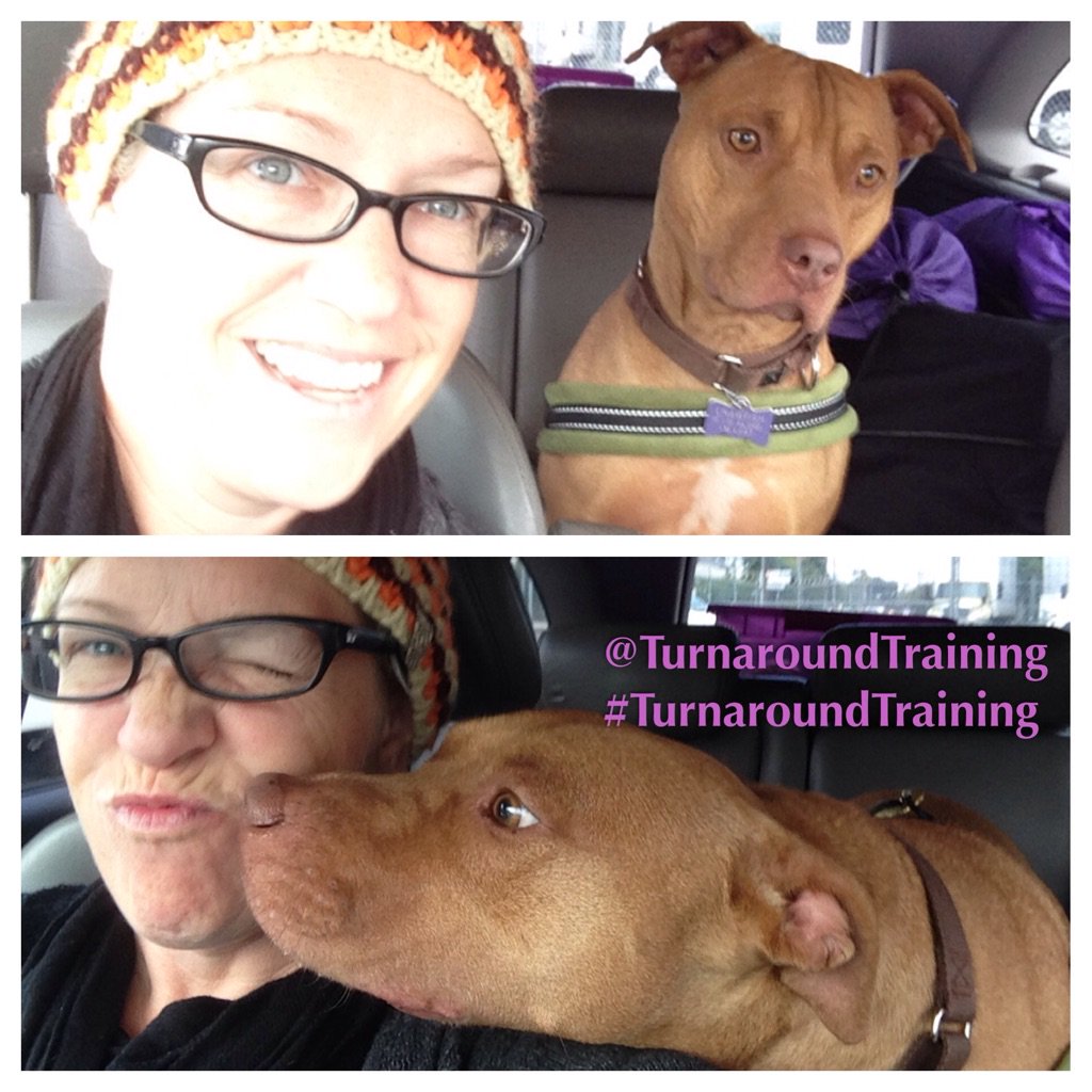CanineParenting's tweet photo. Laura &amp; Crawfish on the way to class! @laurademerchant #turnaroundTraining https://t.co/5HZitJkb1R
