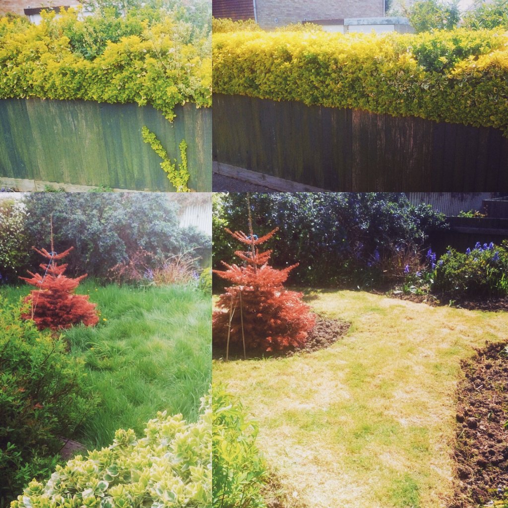 TiDeeHome's tweet image. Doesn't take long to get your gardens looking good for the summer!