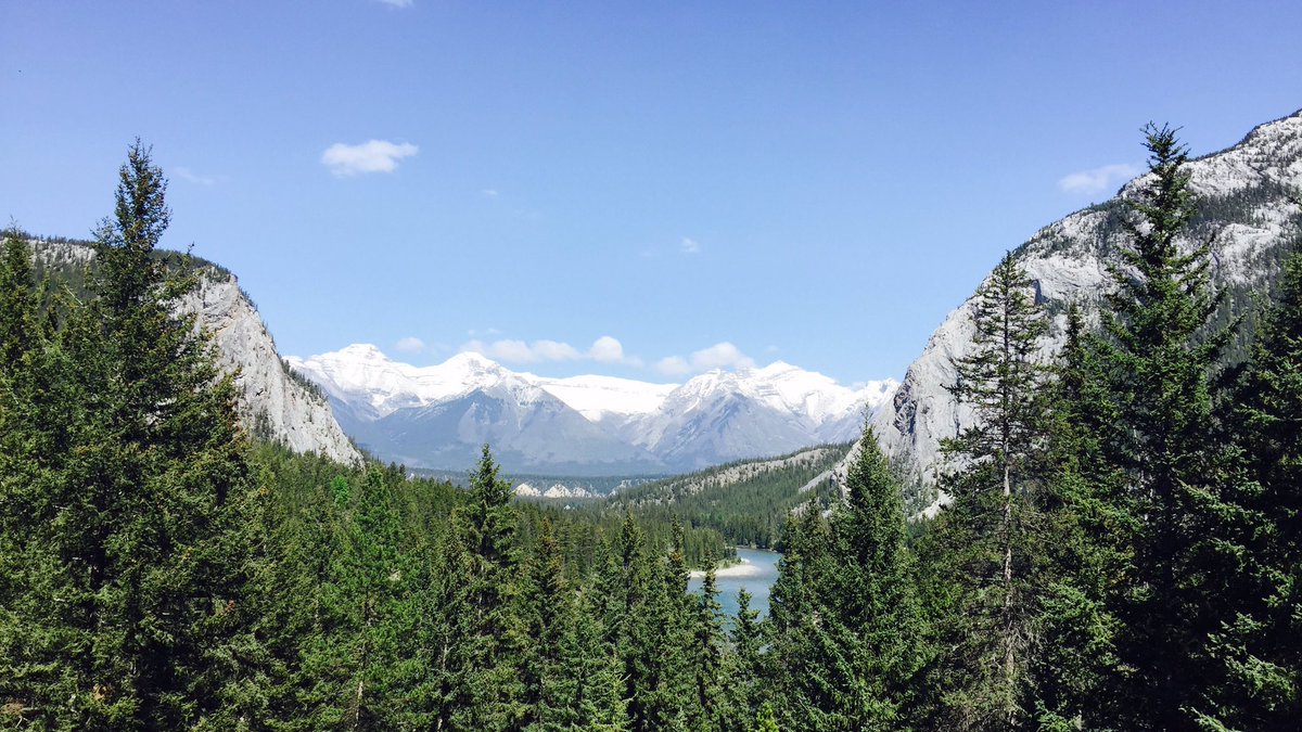 DesignKaBeN's tweet photo. What a great place to have a work meeting #BanffSession @Banff_Squirrel @FairmontBanff @theABarchitects @Real_Banff https://t.co/1TpNoG6d1d