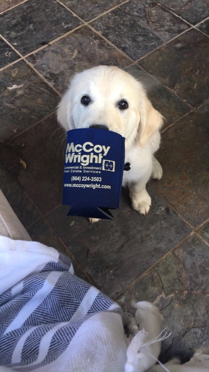 McCoyWright's tweet photo. You can't argue with Theo!!! #evendogsloveus #localknowledgeglobalreach https://t.co/EkuynOUsIf