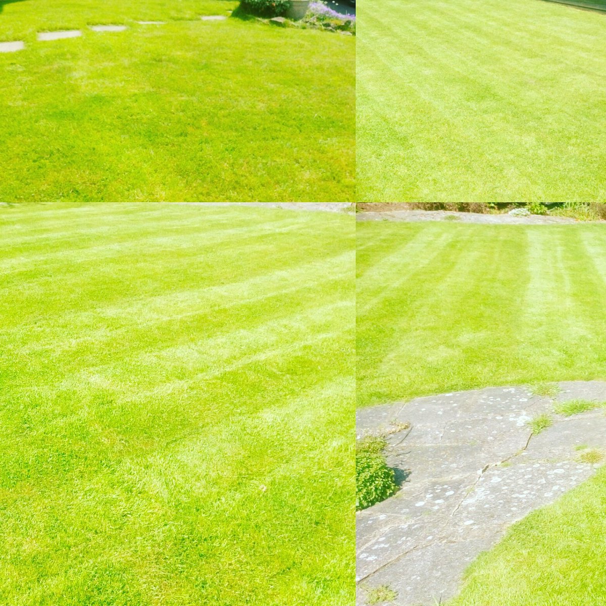 TiDeeHome's tweet image. Just in case you all thought I'd been sleeping this month, I have been working!!