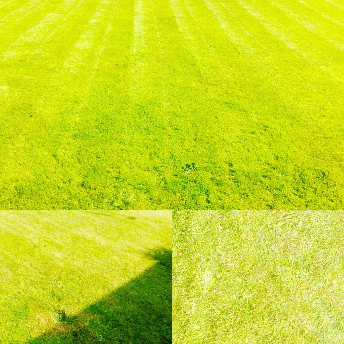 TiDeeHome's tweet image. Just in case you all thought I'd been sleeping this month, I have been working!!