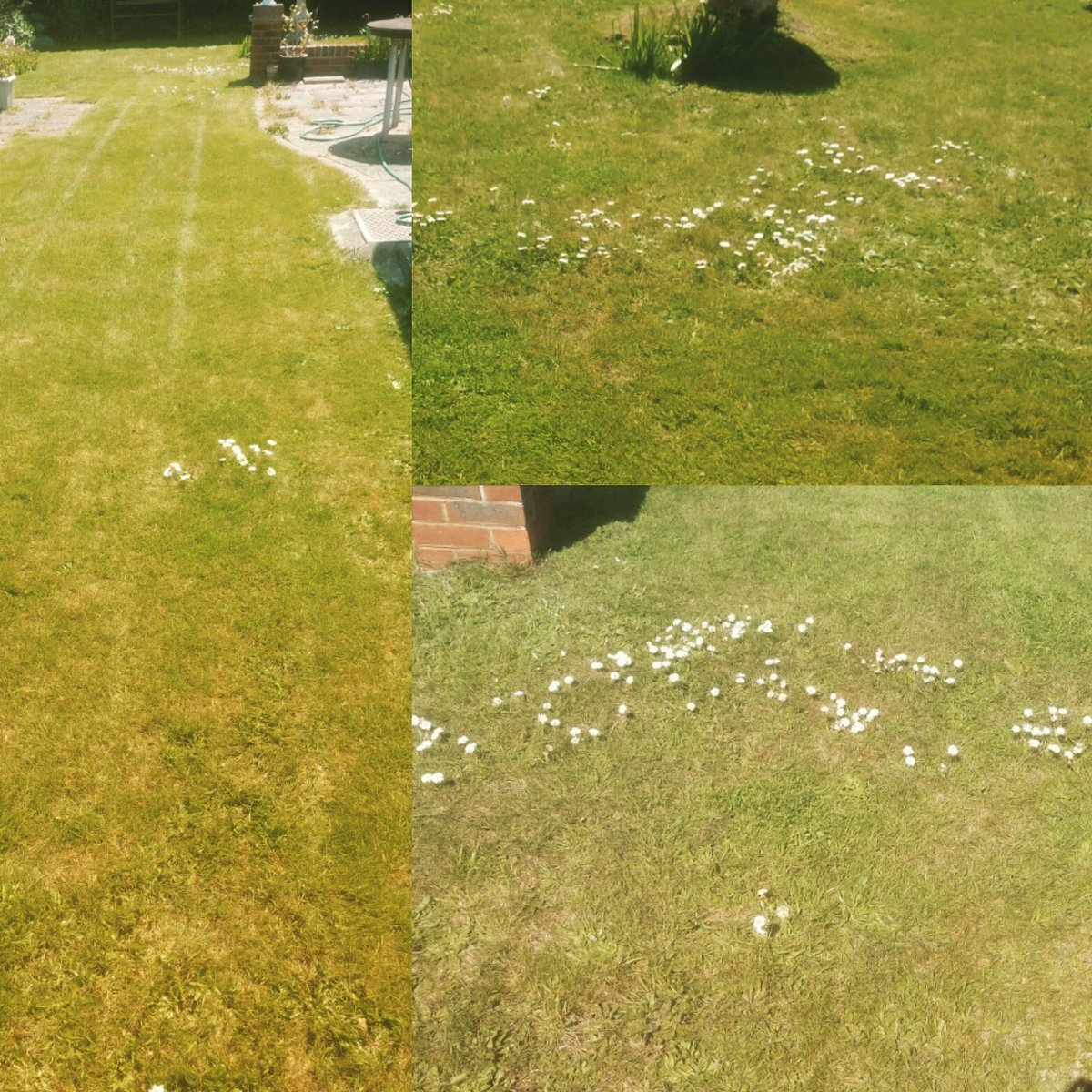 TiDeeHome's tweet image. Just in case you all thought I'd been sleeping this month, I have been working!!