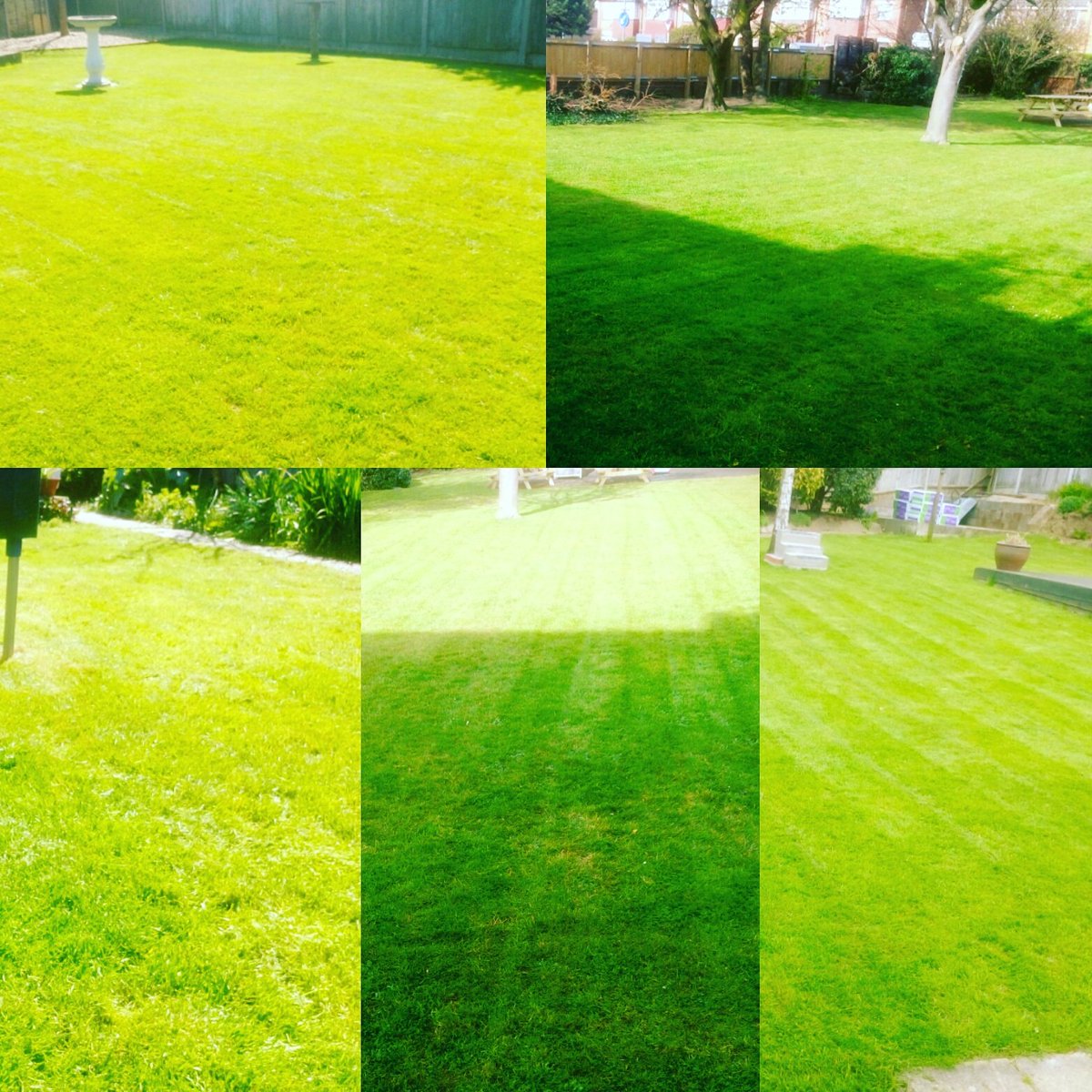 TiDeeHome's tweet image. Lawns and borders