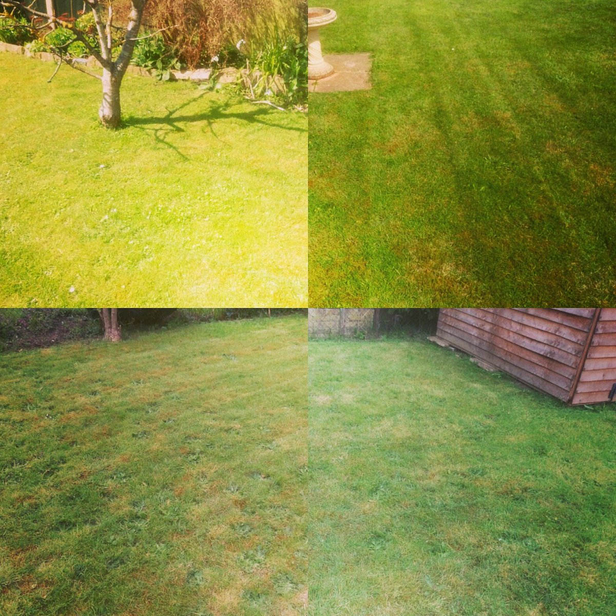 TiDeeHome's tweet image. Lawns and borders