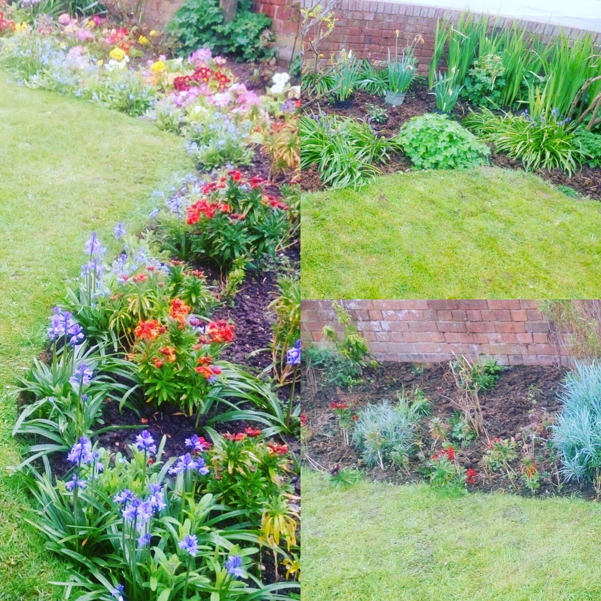 TiDeeHome's tweet image. Lawns and borders