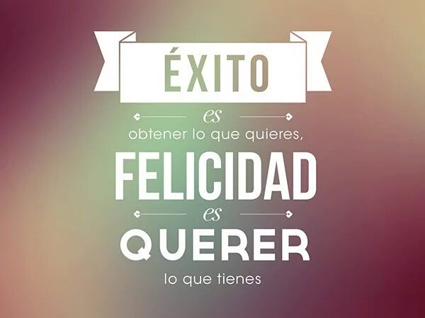 ROSA#🌹 tweet media