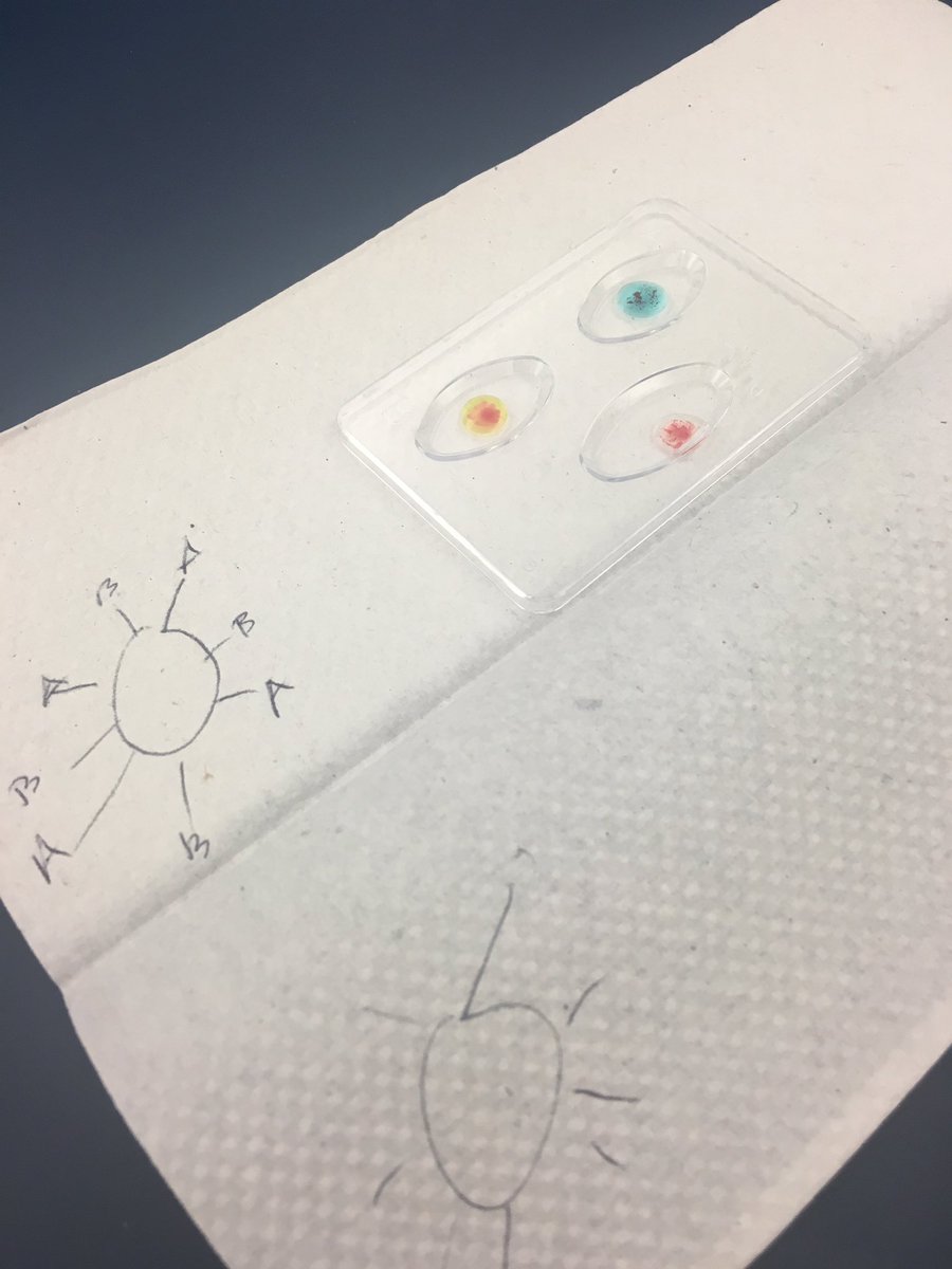 kimvilll15's tweet photo. @NutmegSomething #bio110sp16 AB blood type https://t.co/A5J8He7E0C