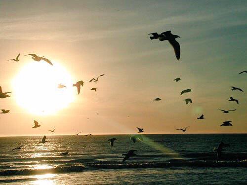 اللَهُمَّ أجعَل المَحبّه فِي نفُوسِنَا والابتِسَامَه فِي وجُوهِنَا، والسعآده فِي بِيوتِنَا .❤️
   
صباح_الخير.