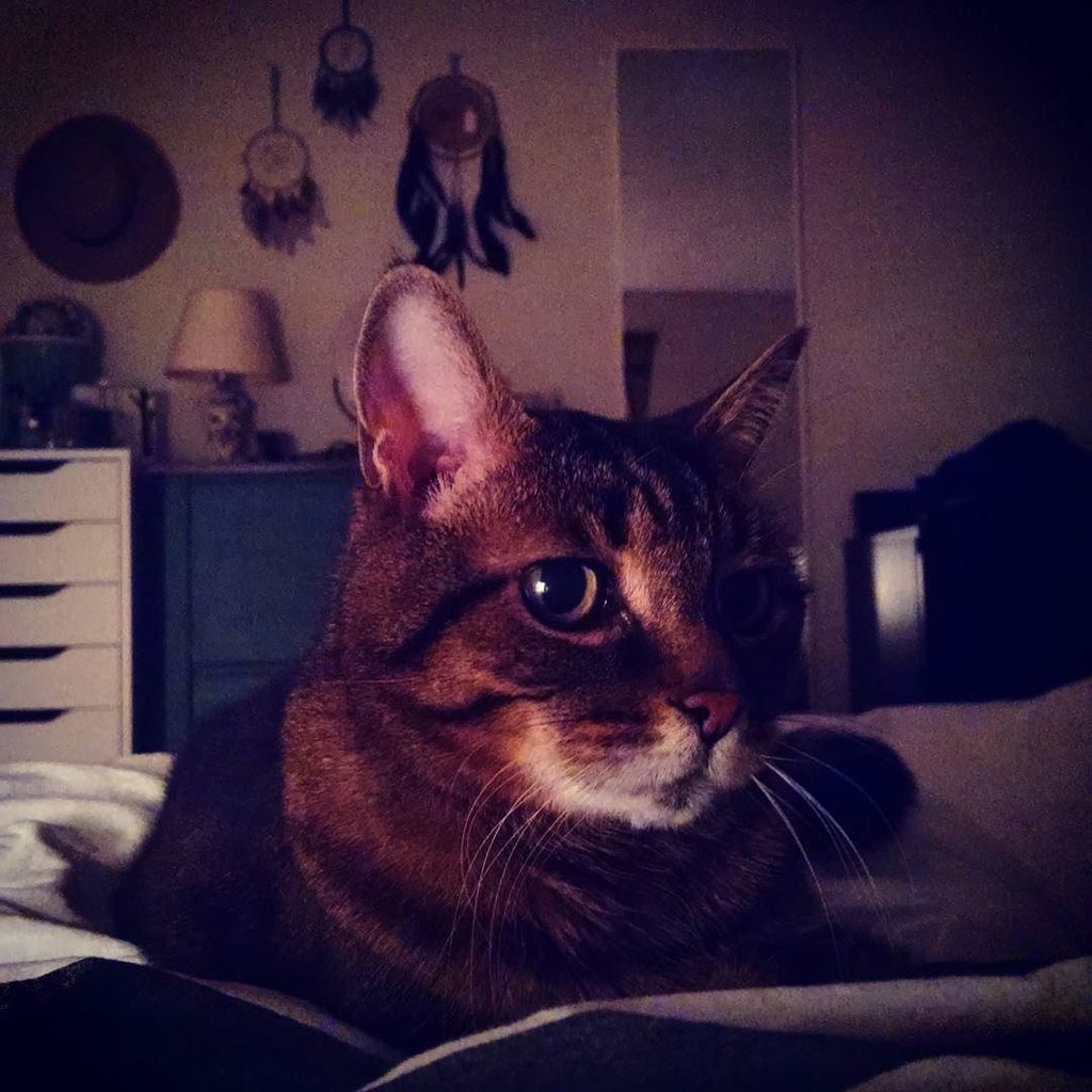 We're all tucked in. Goodnight 🌛 ift.tt/1so4OSA