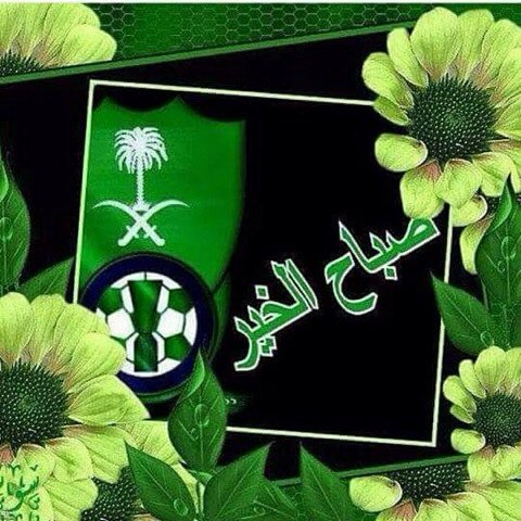 fafos4's tweet photo. https://t.co/8947ssxTcE