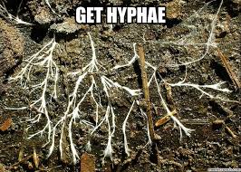 got damnit I thought of this yesterday and was gonna make my first meme BUT IT ALREADY EXISTS. https://t<a href="/tag/mvsales"class="tags"><span>#mvsales</span></a>