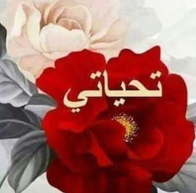 hasa_321's tweet photo. @alotibi460 النورك يالغلا فديتك والف مرحبابك✋😘😘😘🌹 https://t.co/kX0C3UYuAW