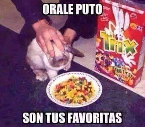 army_memes's tweet photo. Directo al infierno. https://t.co/aCyG1OVSfV
