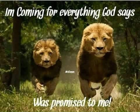 BLESSDLUV2's tweet image. 