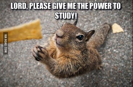 The Augie Squirrels wish all of you luck on finals. You got this!