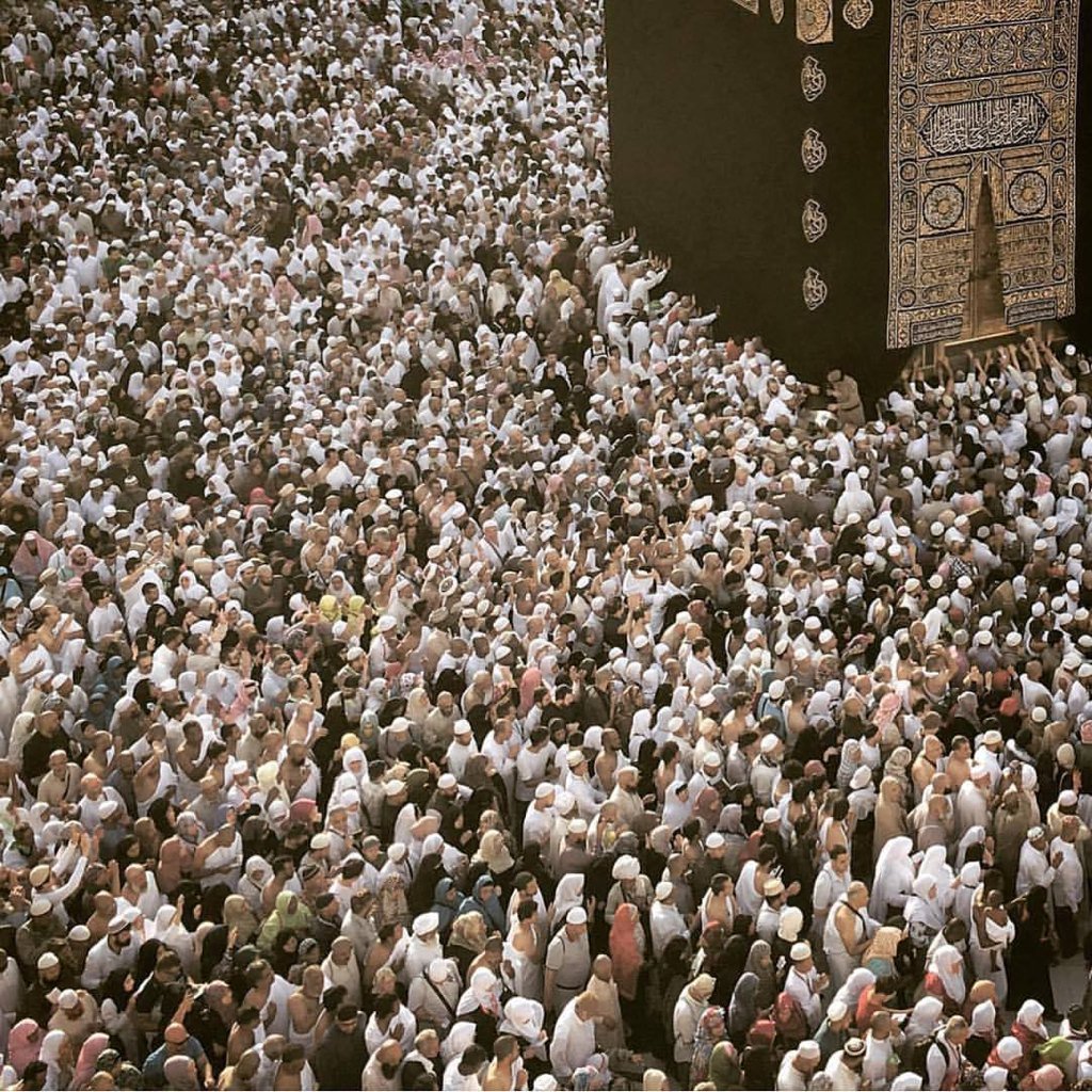 Alhamdhulillaah's tweet photo. Whoever believes in his Lord will not fear deprivation or burden #Quran 72:13 https://t.co/vmzgSRlvsW