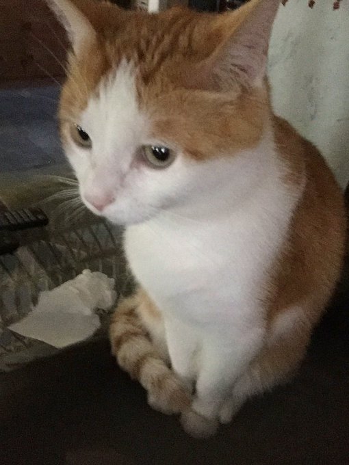 Hangin w/George https://t.co/XSJ8EAP5sW