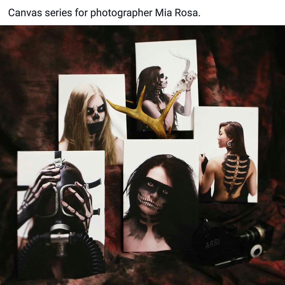 synchronouspro's tweet photo. check out the canvas prints! #hamont #prints #canvas #shoplocal #printshop #photography #art #synchropro https://t.co/JCnk2dPDnX