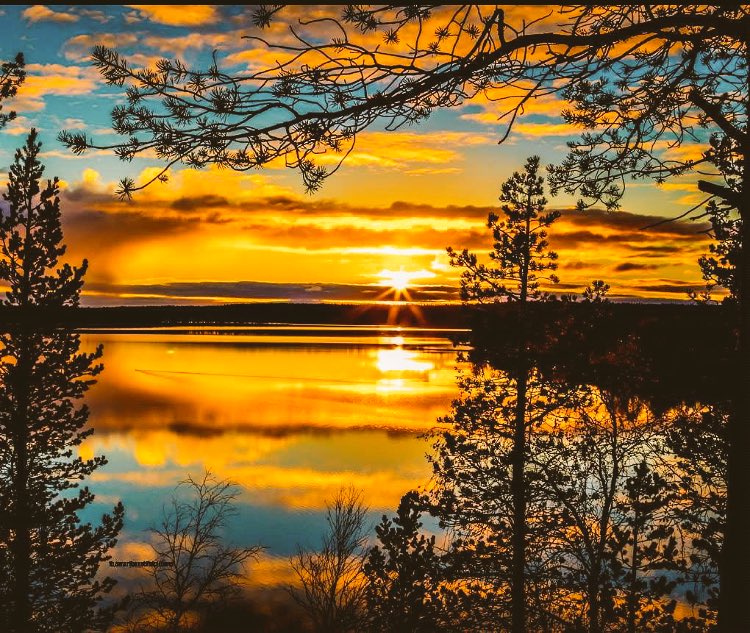 조광연 (@kwangyeon87) on Twitter photo 