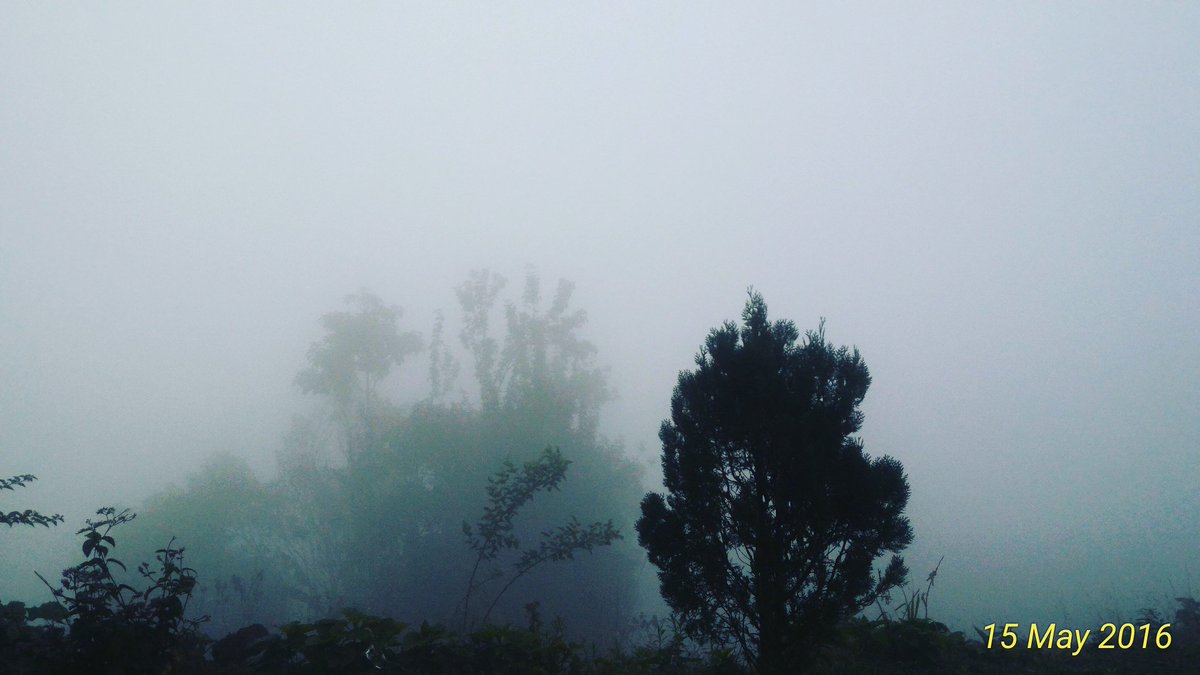 NamunaaLopchan's tweet photo. #coolday #weather #raining #enjoythisweather #happiness #lovethelife #lovelovepeacepeace #LoveYourself #lovethelife https://t.co/ecwUk777Wx