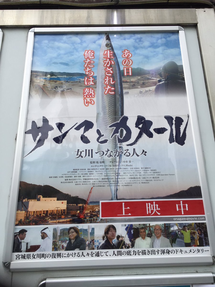 サンマとカタール