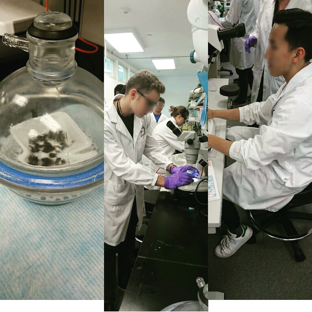 chemmissng's tweet image. We enjoyed the sample prep today, looking forward to tmr. #integratedscienceclub #canlightsource @anjuliahooja