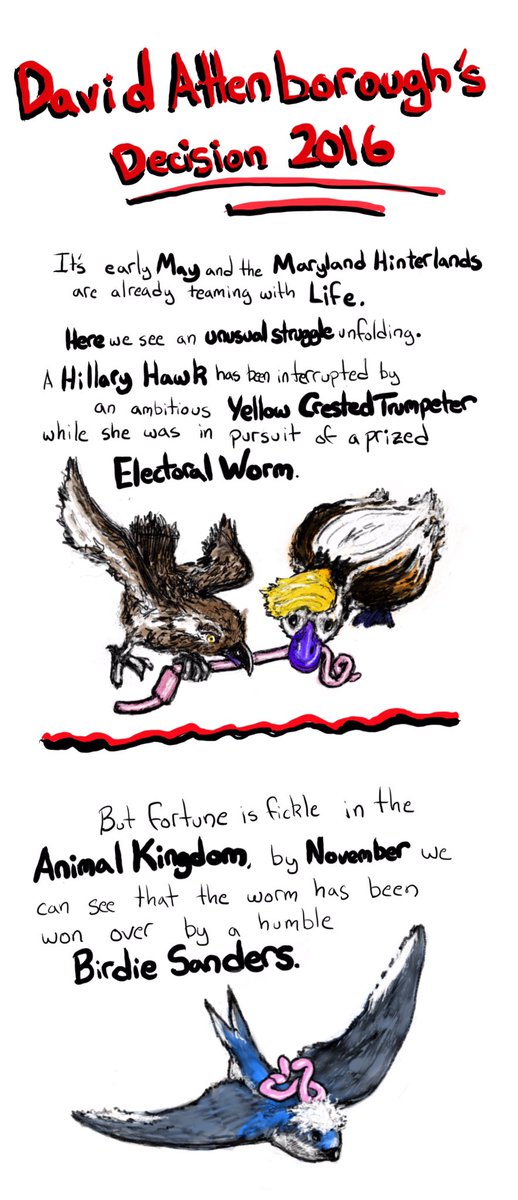 BernieToons's tweet photo. A year ago today #BirdieSanders was born. Oh how hopeful we were. https://t.co/vJCSop5PkK