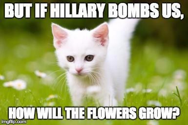 BoonieKane's tweet photo. @RLange9 
#DemKochRoach
#nvdemconvention 
#CheatingForHillary https://t.co/n8YcH0JjQc