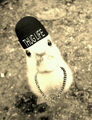 @RachelDawesTDK_ @HTC_TaylorBr BatDuck just gone Gangster