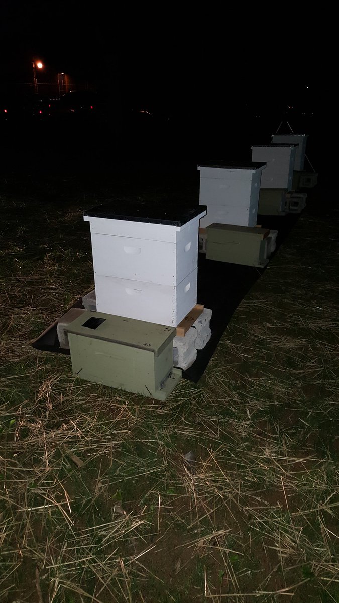 Landscape_CTC tweet media