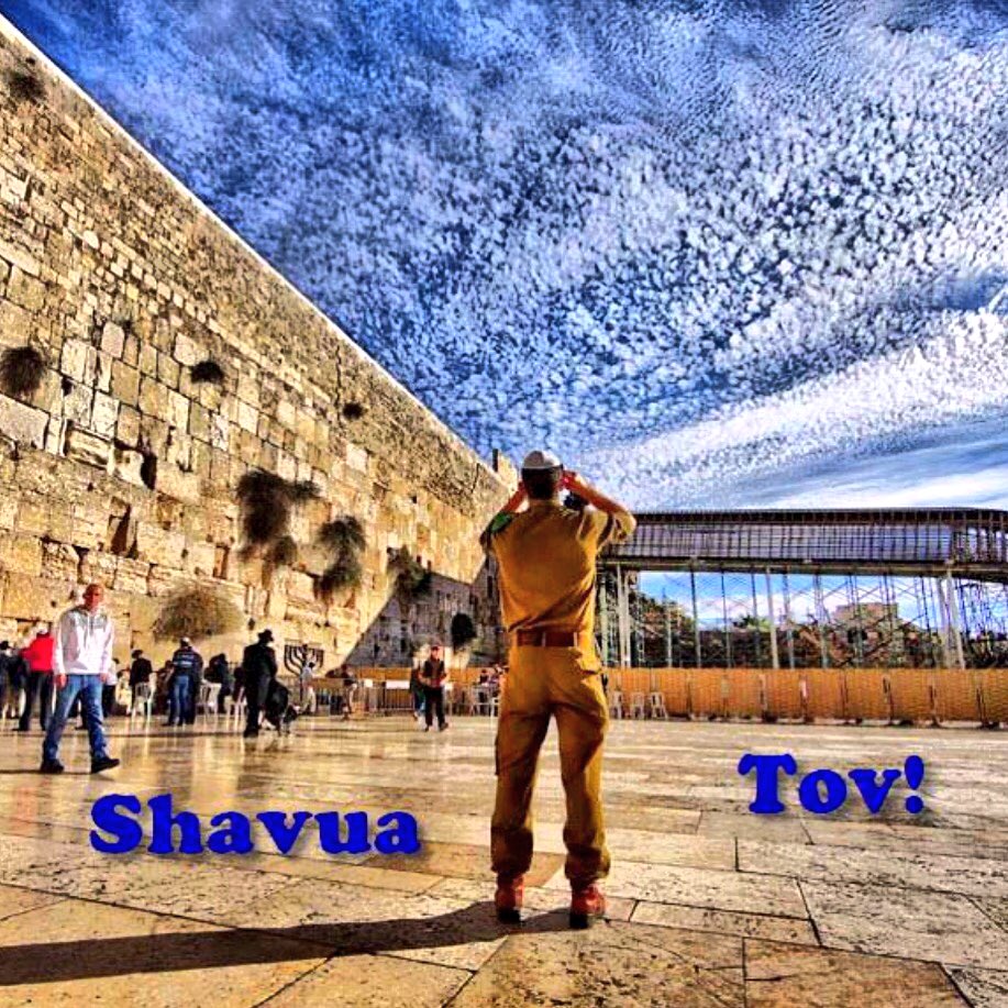 TEITELBAUMAARON's tweet photo. #shauvatov #gutvuch #mazeldigevuch #greatweek #hatzlacha #parnaso #weekofsimchas #goldanarendlech #motzaishabbos https://t.co/S04SqIqDxV