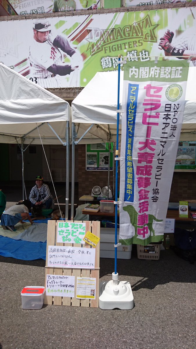 日本アニマルセラピー協会