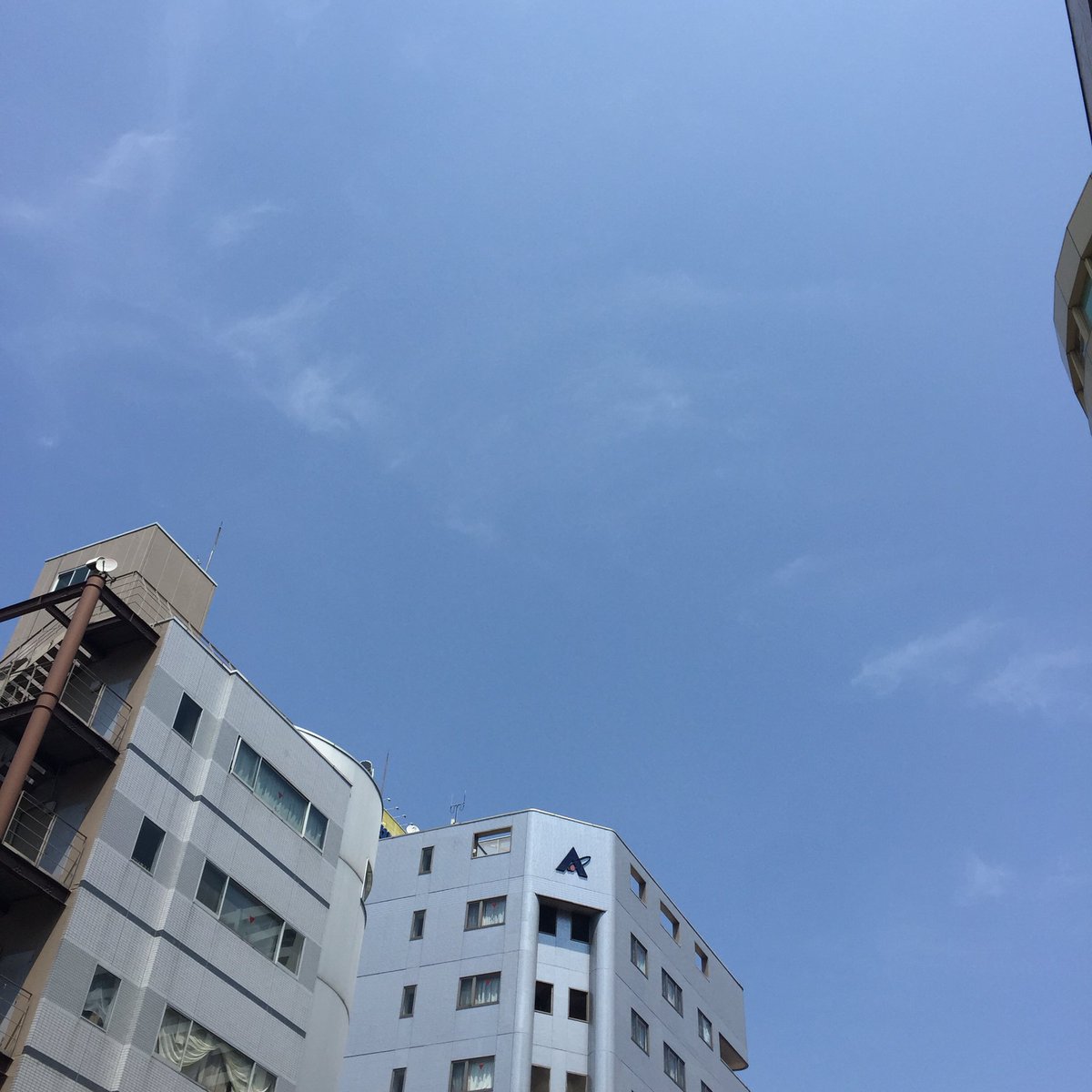 ほらこの通り。