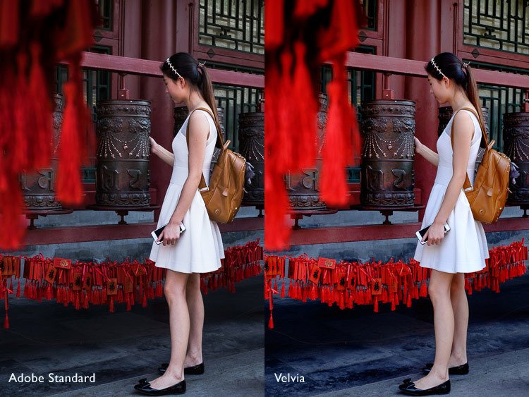 digitalps's tweet photo. The 6 Most Important Things You Need to Know about Lightroom's Develop Module https://t.co/T37QCixrR4 https://t.co/XvSvWSWUx5