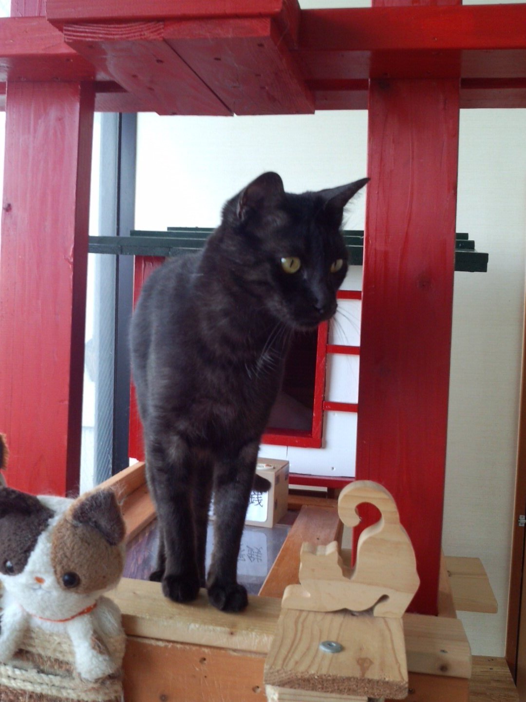 猫茶屋 Twitter Search Twitter