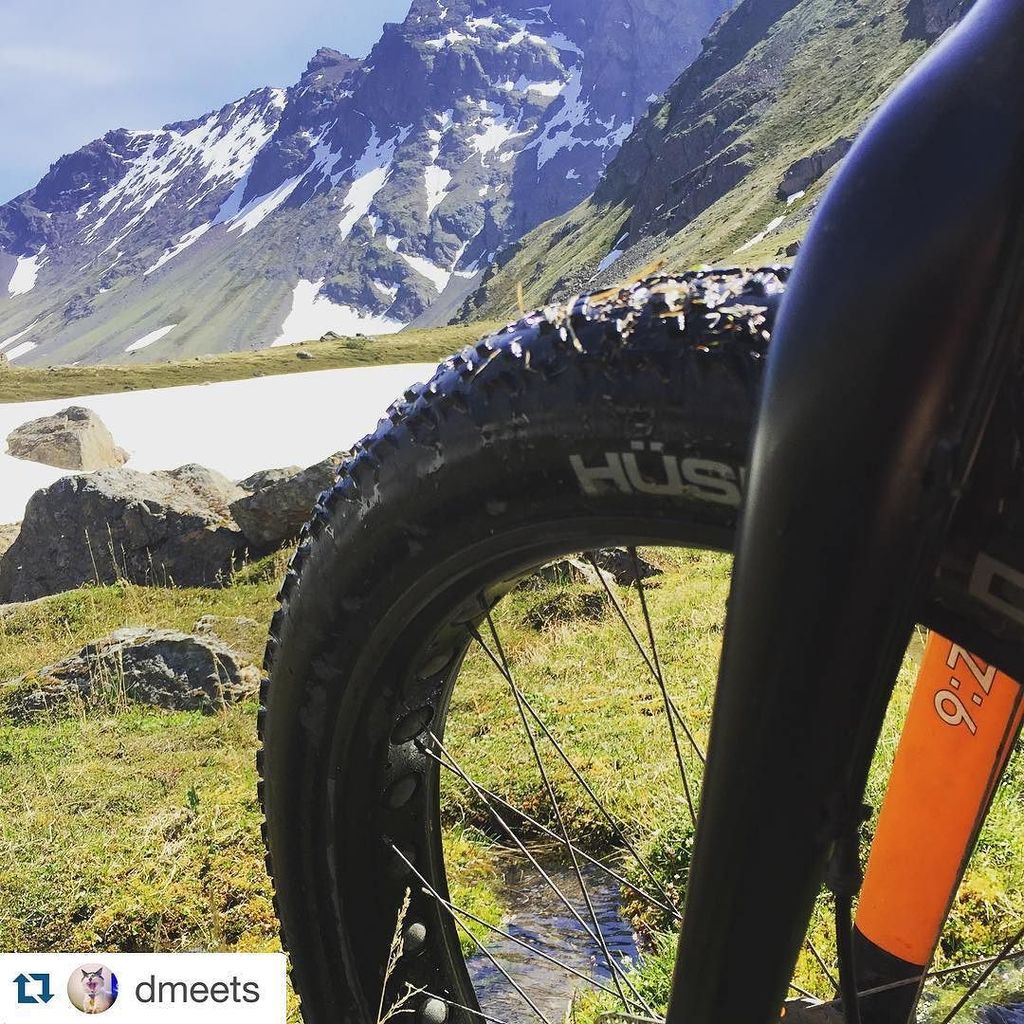 TuttoMTB's tweet photo. 9zero7bikes / #Repost @dmeets
・・・
Fun in the sun #9zero7 #alaska @chainreactionalaska #fatbike #45nrth #bikepacking… https://t.co/lV2lbDaOCn